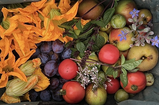 Terre de Gaia - Fruits et légumes de notre potager